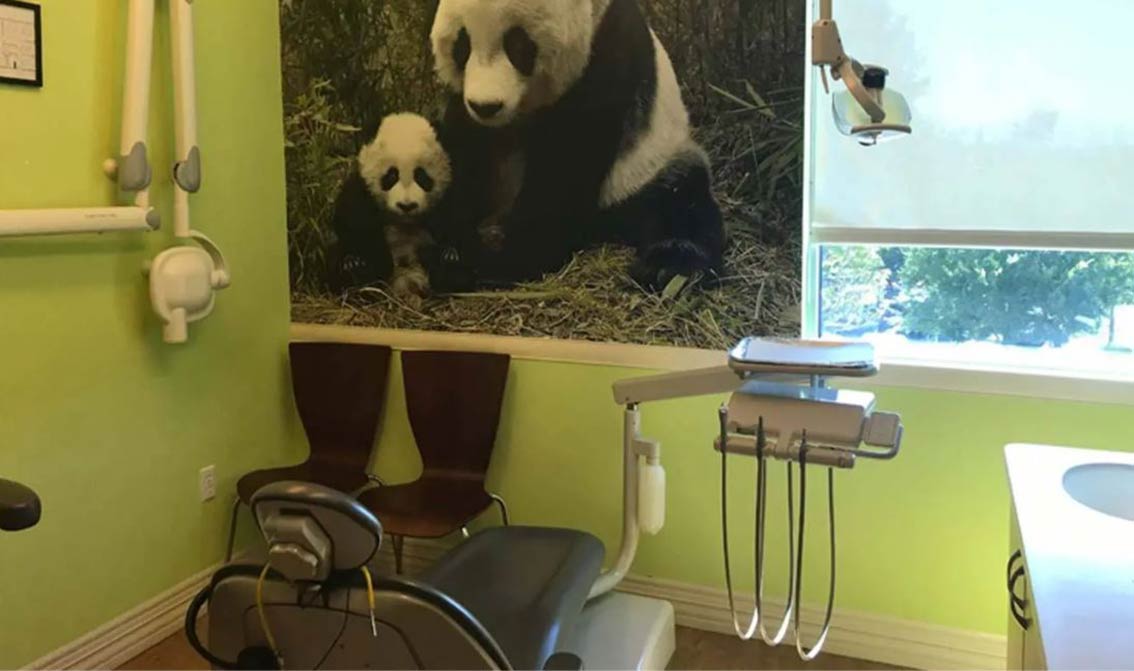 interior-photo-of-dental-office-with-green-walls-and-animal-posters